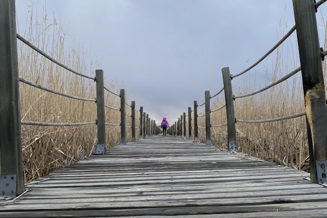 Ahmetle uzun ve renkli bir yol