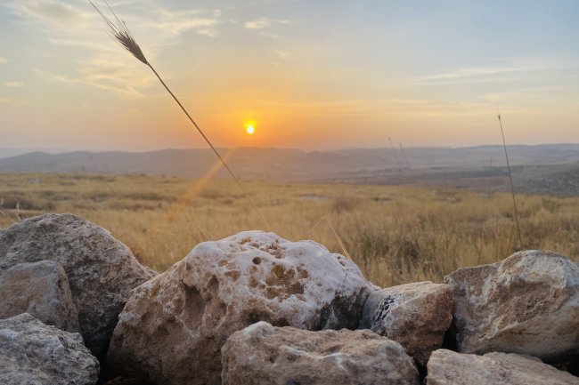 Göbeklitepe'de Gün Batımı...
