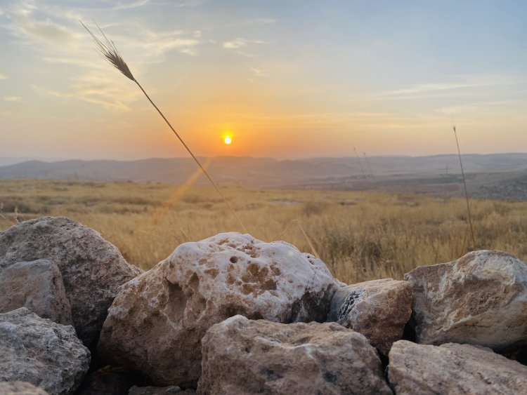 Göbeklitepe'de Gün Batımı...